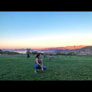 Meet your Posher, Taylor